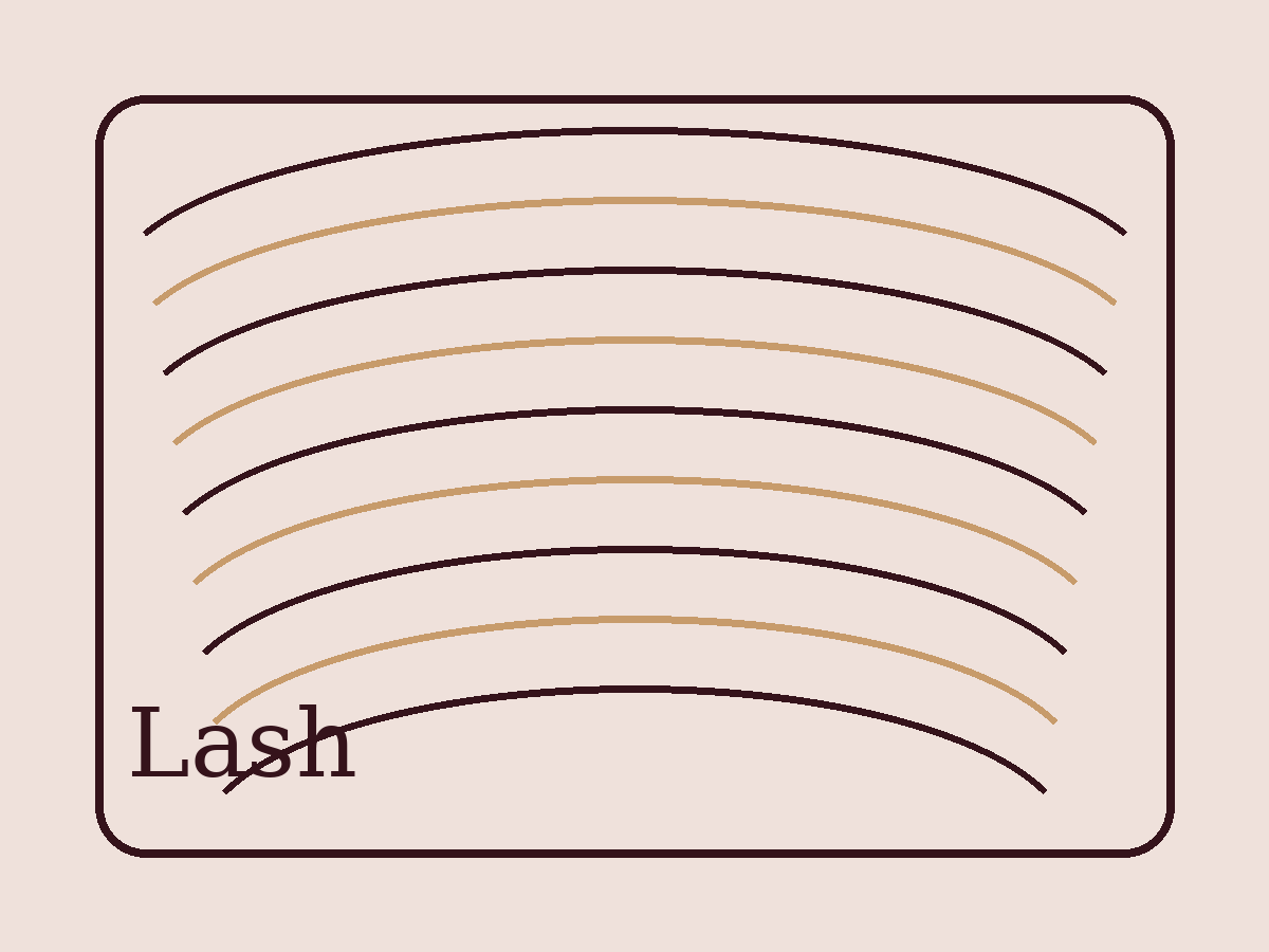 Percorso lash artist